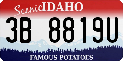 ID license plate 3B8819U