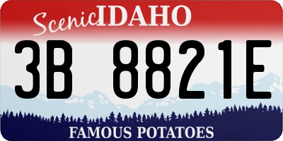 ID license plate 3B8821E