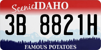 ID license plate 3B8821H