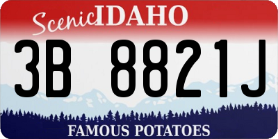 ID license plate 3B8821J