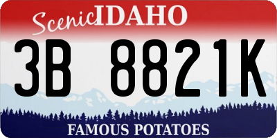 ID license plate 3B8821K