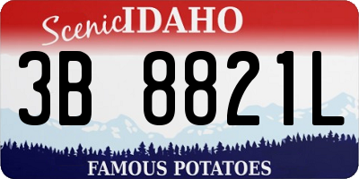 ID license plate 3B8821L