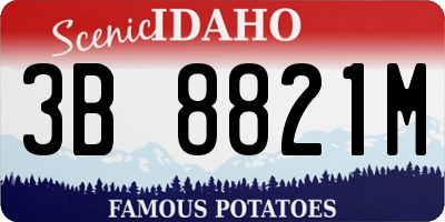 ID license plate 3B8821M