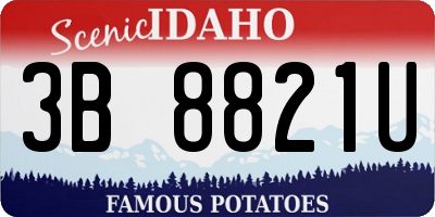ID license plate 3B8821U