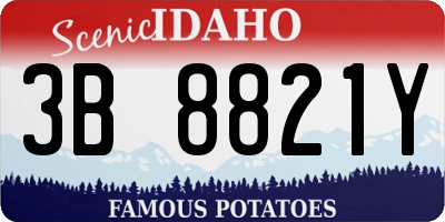 ID license plate 3B8821Y