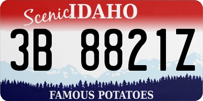 ID license plate 3B8821Z