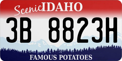 ID license plate 3B8823H