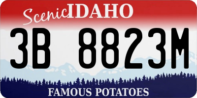 ID license plate 3B8823M