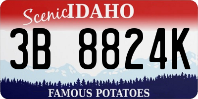 ID license plate 3B8824K