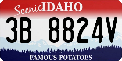 ID license plate 3B8824V