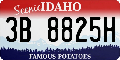 ID license plate 3B8825H