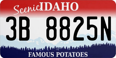 ID license plate 3B8825N