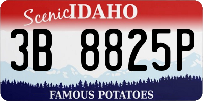 ID license plate 3B8825P