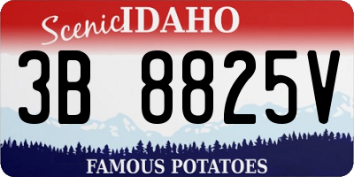 ID license plate 3B8825V