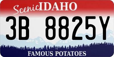 ID license plate 3B8825Y