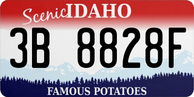 ID license plate 3B8828F
