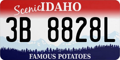 ID license plate 3B8828L