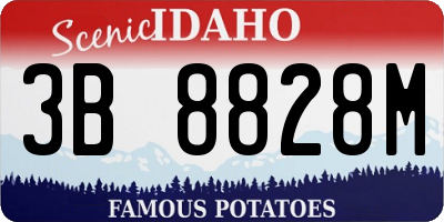 ID license plate 3B8828M