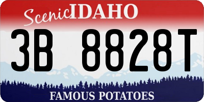 ID license plate 3B8828T