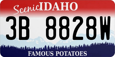 ID license plate 3B8828W