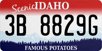 ID license plate 3B8829G