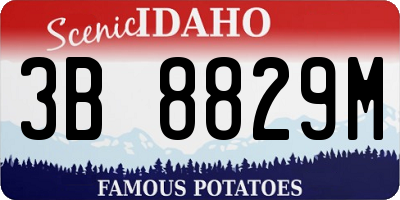 ID license plate 3B8829M
