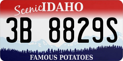 ID license plate 3B8829S