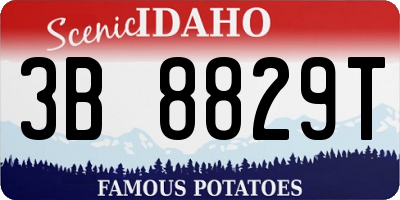ID license plate 3B8829T