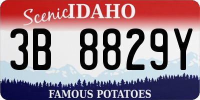 ID license plate 3B8829Y