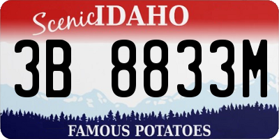 ID license plate 3B8833M