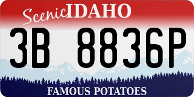 ID license plate 3B8836P
