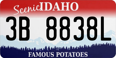 ID license plate 3B8838L