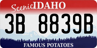 ID license plate 3B8839B