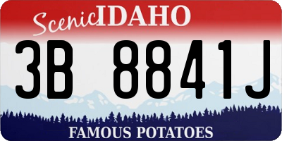 ID license plate 3B8841J