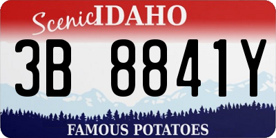 ID license plate 3B8841Y