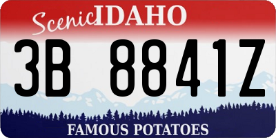 ID license plate 3B8841Z