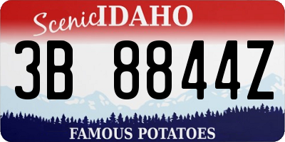 ID license plate 3B8844Z