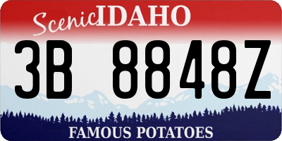ID license plate 3B8848Z