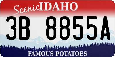 ID license plate 3B8855A