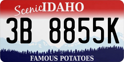 ID license plate 3B8855K