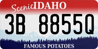 ID license plate 3B8855Q