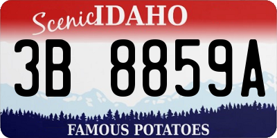 ID license plate 3B8859A