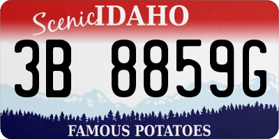 ID license plate 3B8859G
