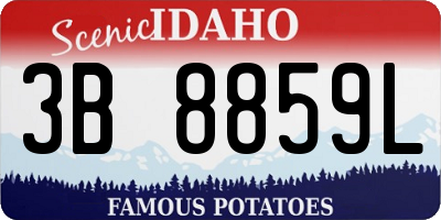 ID license plate 3B8859L