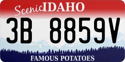 ID license plate 3B8859V