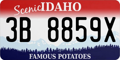 ID license plate 3B8859X