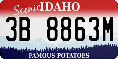 ID license plate 3B8863M