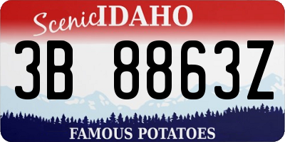 ID license plate 3B8863Z