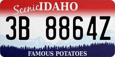 ID license plate 3B8864Z
