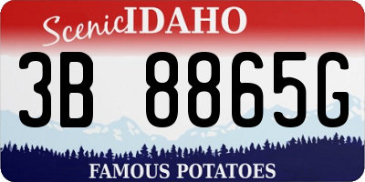 ID license plate 3B8865G